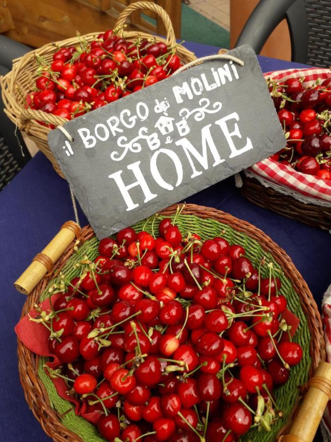 Il Borgo Dei Molini Bed and Breakfast Torreglia Buitenkant foto